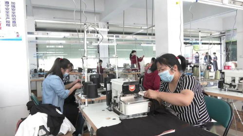 復工拓市場，網絡銷售助扶貧——?？抵埔聫S心系貧困鄉親，點亮希望之光